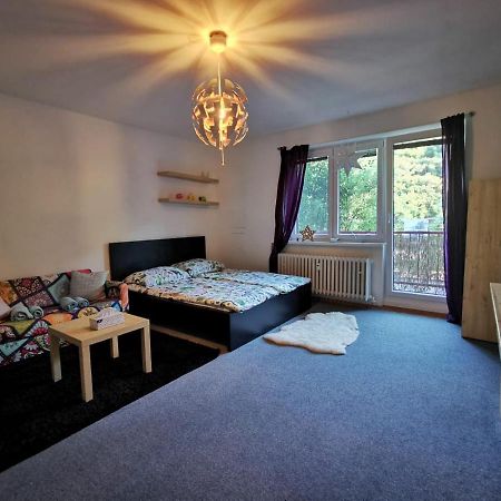 Apartament Cely Apartman Podlesi 54M2 S Dvema Balkony A S Novou Manzelskou Posteli, Zatim Neni Na Fotkach Brno Zewnętrze zdjęcie