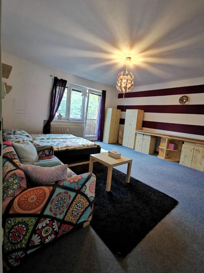 Apartament Cely Apartman Podlesi 54M2 S Dvema Balkony A S Novou Manzelskou Posteli, Zatim Neni Na Fotkach Brno Zewnętrze zdjęcie