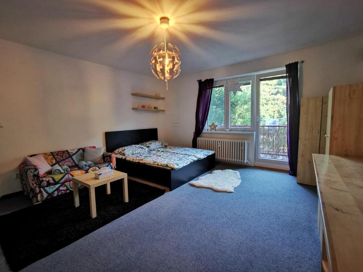 Apartament Cely Apartman Podlesi 54M2 S Dvema Balkony A S Novou Manzelskou Posteli, Zatim Neni Na Fotkach Brno Zewnętrze zdjęcie